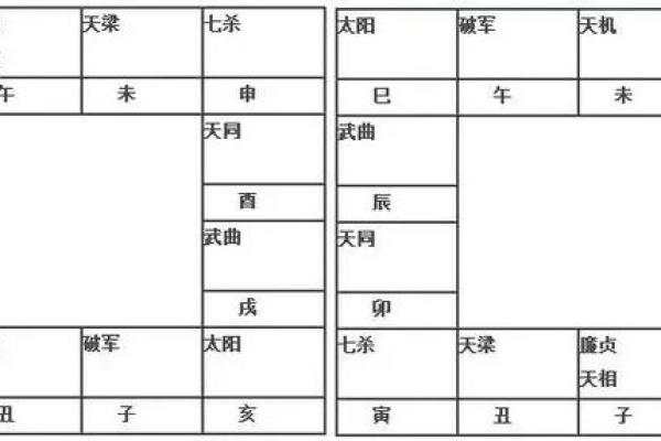 2025年4月3日卯时女命紫微斗数全解盘
