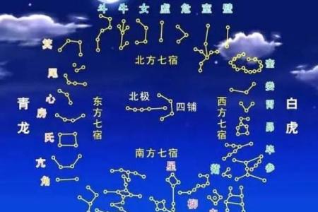 2025年4月6日辰时男命紫微斗数全解盘