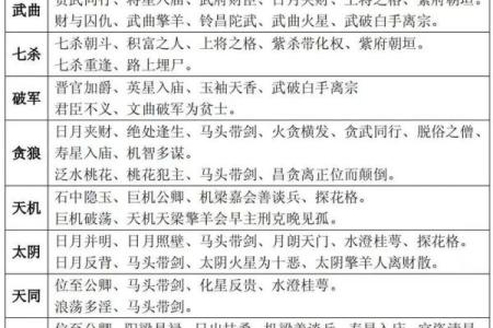 2025年4月15日午时男命紫微斗数全解盘