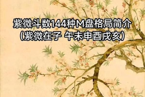 2025年4月25日戌时男命紫微斗数全解盘