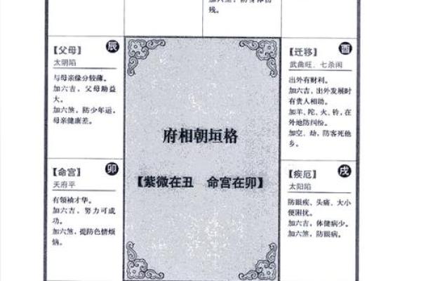 2025年4月25日戌时男命紫微斗数全解盘
