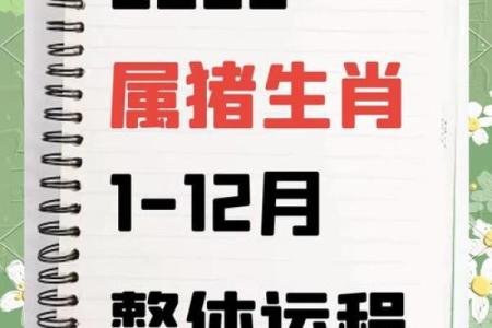 2025年属猪人全年运势详解财运事业爱情全解析