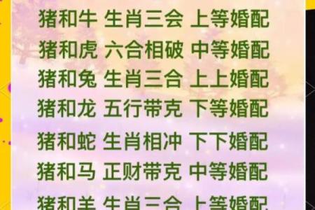 71属猪男跟情人会长久到老吗_71年属猪男与情人能否携手到老揭秘长久爱情秘诀