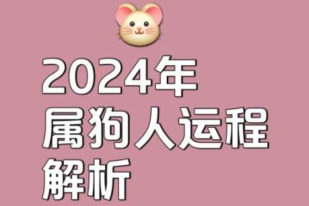 2025年生肖狗的运势_2025年生肖狗运势详解财运事业爱情全面解析