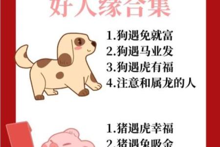 “骂狗打鸡猪在笑”是代表哪个生肖，骂狗打鸡猪在笑打一准确生肖答案解释释义落实