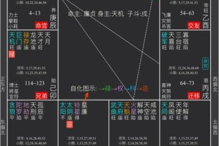2025年4月3日未时女命紫微斗数全解盘