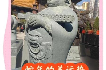 67年属羊男2024年运势及运程_1979年属羊2025年运势及运程详解