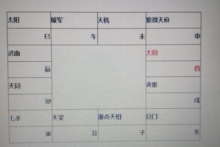2025年4月16日巳时男命紫微斗数全解盘