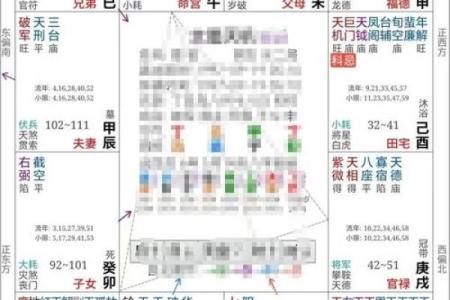 2025年4月18日亥时男命紫微斗数全解盘