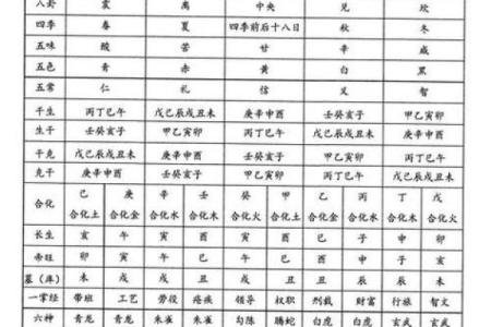 生辰八字 五行_生辰八字五行解析揭秘命运与五行的奥秘