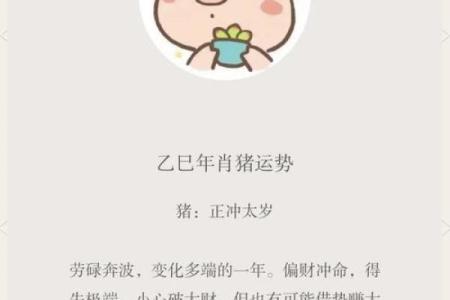1971年属猪男2025年全年运势_1971年属猪男2025年全年运势如何