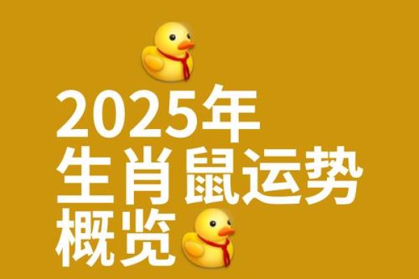 属鼠的人今日运势360星座网_麦玲玲十二生肖每月运程