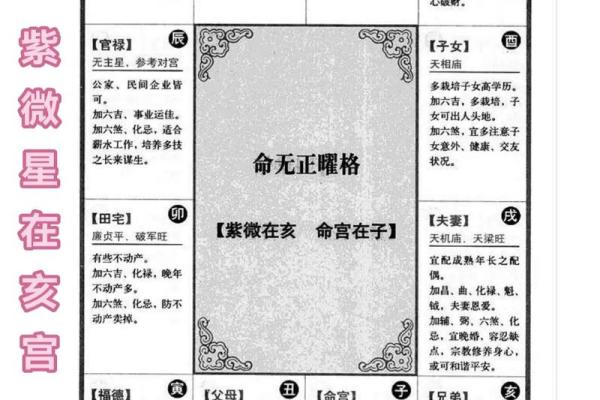 2025年4月7日亥时男命紫微斗数全解盘