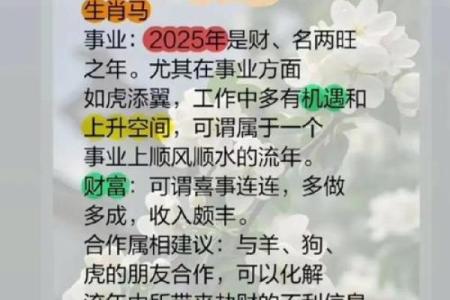 1978年在2025年属马人每月运势_1978年属马人2024年的运势