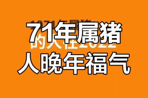1971属猪2025年运势及运程_1971年属猪2025年运势解析运程详解与吉凶预测