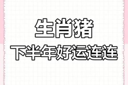 1983年属猪人2023年全年运势详解及运势提升指南