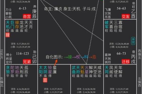 2025年4月26日卯时女命紫微斗数全解盘