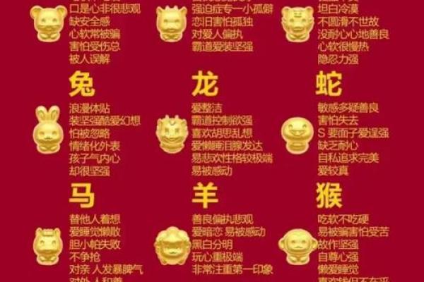 光说不练是什么生肖(光说不练是什么生肖正确答案)