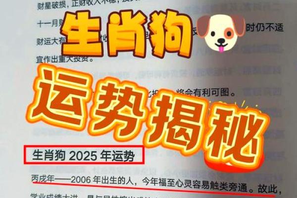 2024年属狗人的全年运势1982出生_2024年属狗人全年运势解析1982年出生者必看