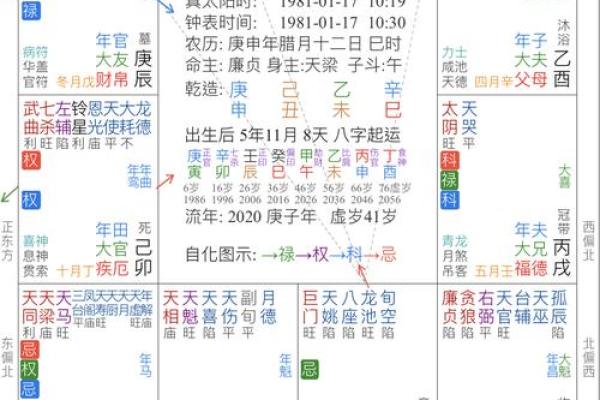 2025年4月25日酉时女命紫微斗数全解盘
