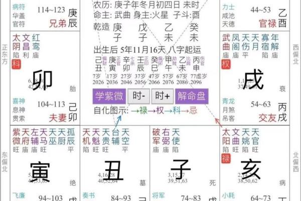 2025年4月3日戌时男命紫微斗数全解盘