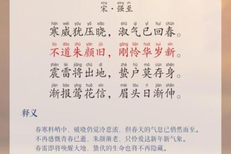 “春寒料峭”打一生肖是什么，寒冬料峭打一生肖答案解释释义落实