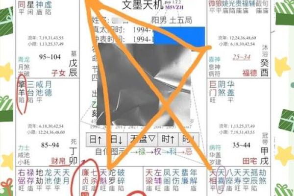 2025年4月26日丑时男命紫微斗数全解盘