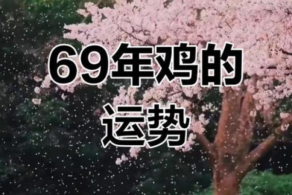 2005年属鸡的运势_2005年属鸡的运势今年