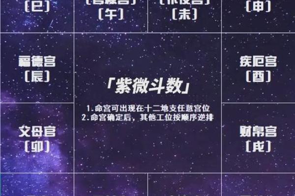 2025年4月22日酉时女命紫微斗数全解盘