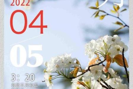2025年4月5号扫墓日子好不好