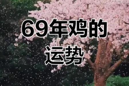 2005年属鸡的运势_2005年属鸡的运势今年