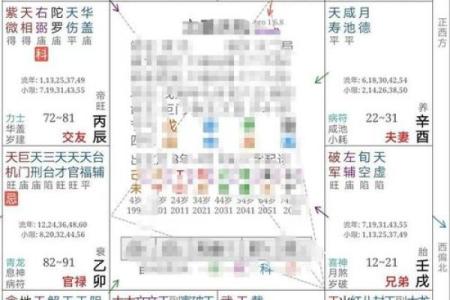 2025年4月10日子时女命紫微斗数全解盘