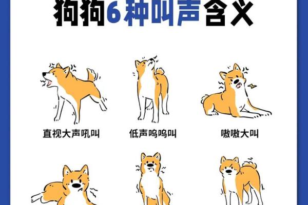 梦见狗叫