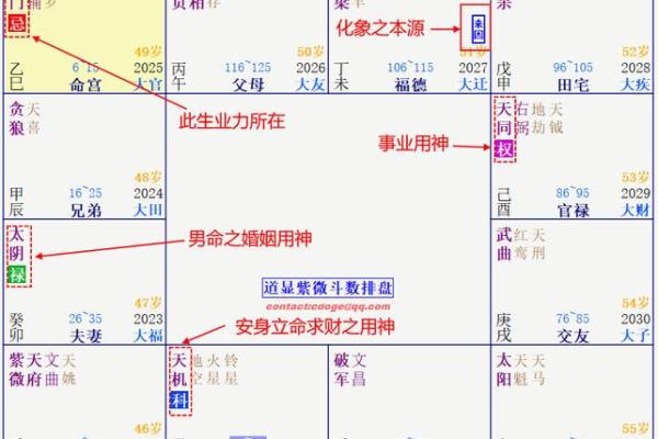 2025年4月7日戌时女命紫微斗数全解盘