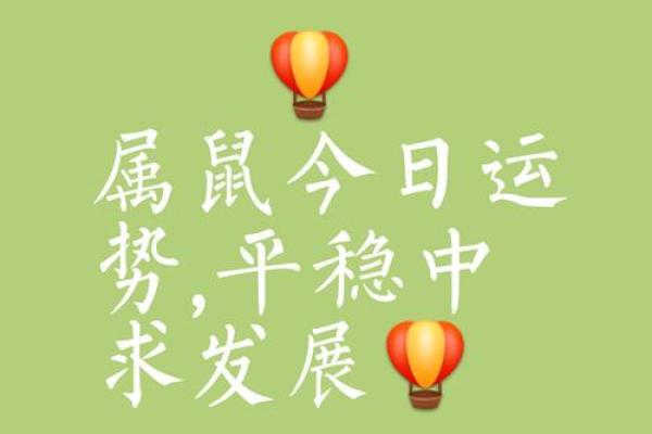 1948年属鼠2025年运势及运程