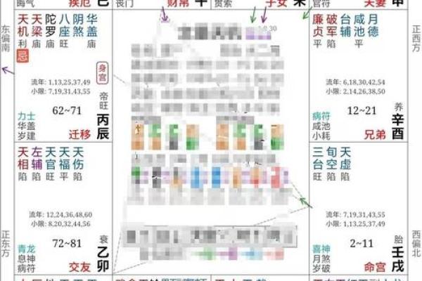 2025年4月9日子时男命紫微斗数全解盘