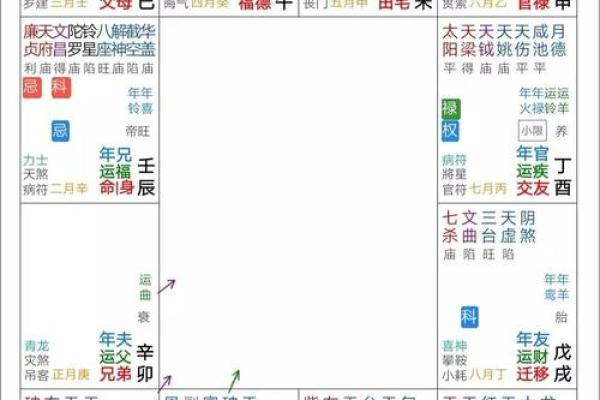 2025年4月3日申时女命紫微斗数全解盘