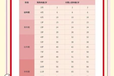 1994年属狗多大了_1994年属狗多少周岁