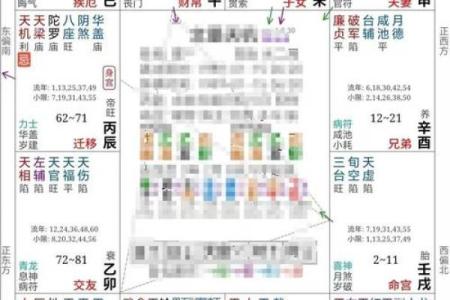 2025年4月9日子时男命紫微斗数全解盘