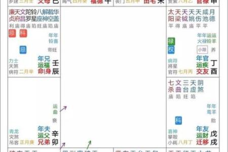 2025年4月3日申时女命紫微斗数全解盘