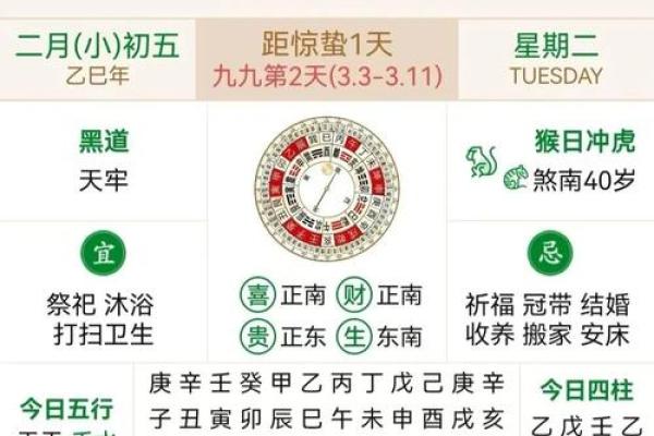 2025年4月26日未时女命紫微斗数全解盘