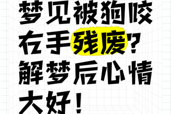 梦见被狗
