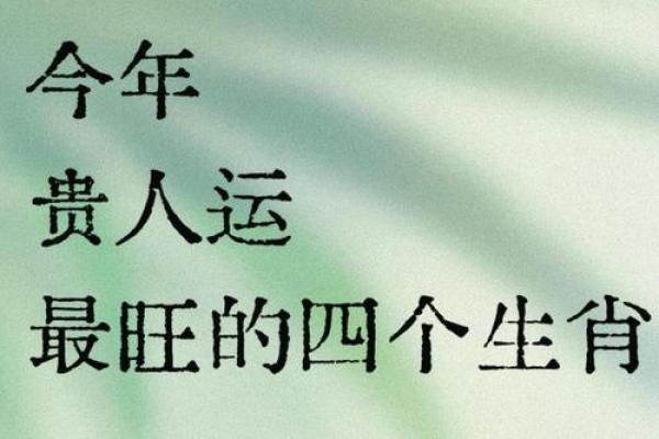 2025属马人全年运势详解事业财运健康运程全指南