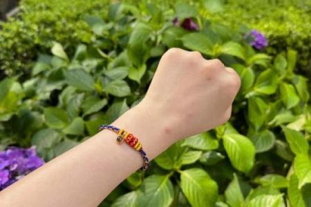 “美轮美奂”打一最佳准确生肖，美轮美奂是什么生肖答案解释释义落实