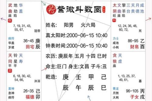 2025年4月22日巳时男命紫微斗数全解盘
