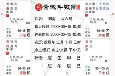 2025年4月22日巳时男命紫微斗数全解盘