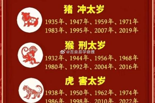 2025年属马犯太岁吗 2025年属马犯太岁吗运势解析与化解指南