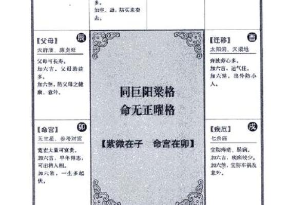 2025年4月5日子时男命紫微斗数全解盘