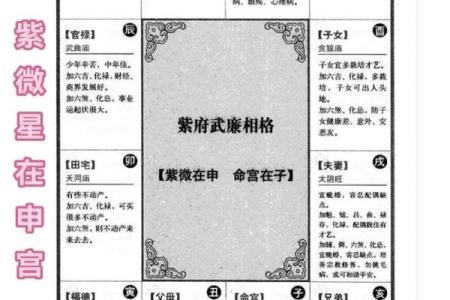 2025年4月8日申时男命紫微斗数全解盘