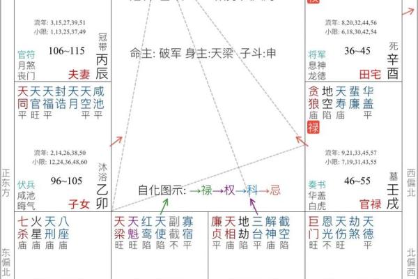 2025年4月21日丑时女命紫微斗数全解盘